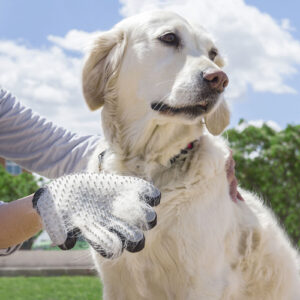 Luva Escova de Massagem para Animais Relpet InnovaGoods